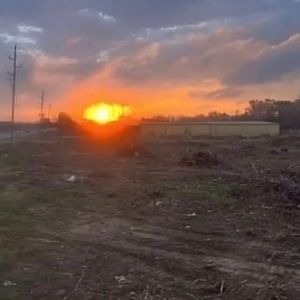 Meet your Posher, Maddy